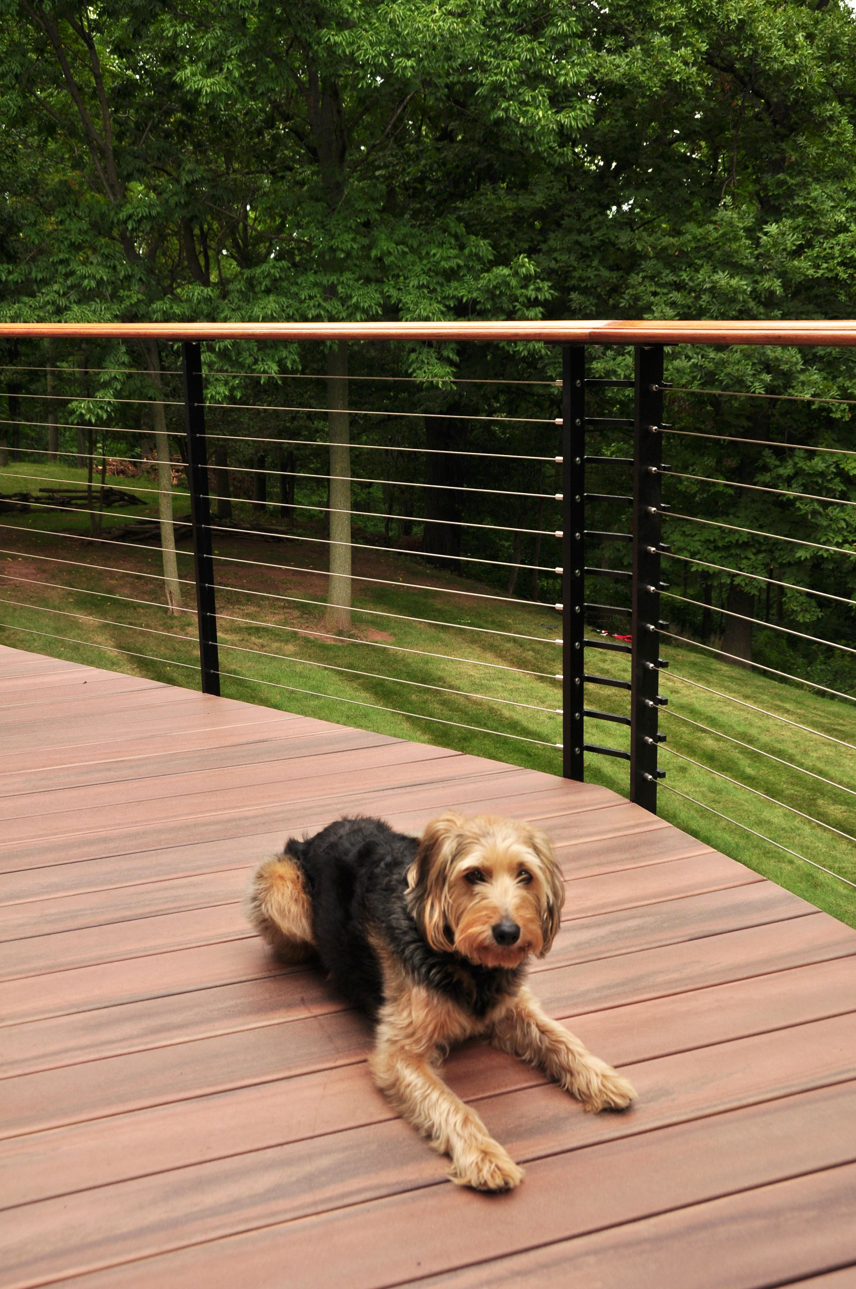 Composite decking with black steel cable railing posts