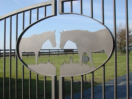 Equestrian gate