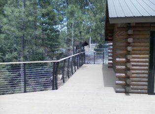 Expansive view through park railing