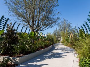 Green Modern Pedestrian Bridge Fence