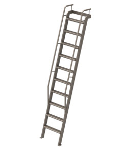 Illustration of a Library Ladder