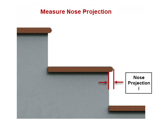 Measure the Nose Projections